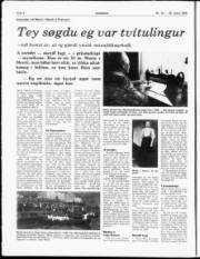 Síða 6