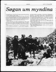Síða 8