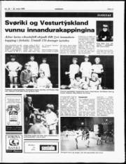 Síða 11