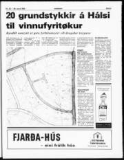 Síða 3