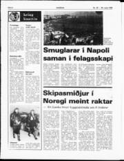 Síða 6