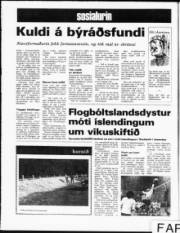 Síða 8