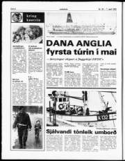 Síða 6