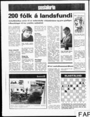 Síða 12