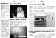 Síða 13