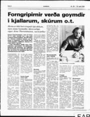 Síða 8