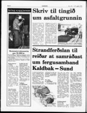 Síða 4