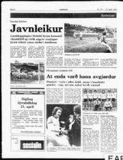 Síða 6