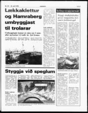 Síða 5
