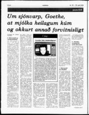 Síða 6
