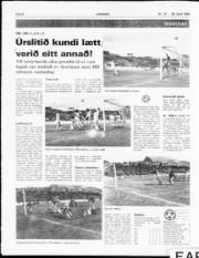 Síða 6