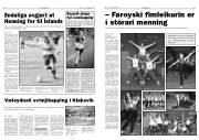 Síða 14