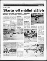 Síða 4