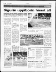 Síða 5