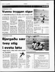 Síða 8