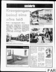 Síða 11