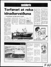 Síða 12