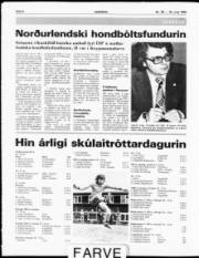 Síða 6