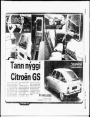 Síða 6