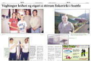 Síða 8