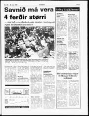 Síða 5