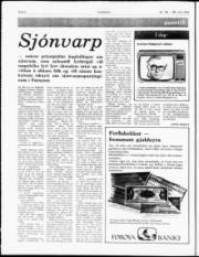 Síða 6