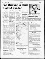 Síða 3