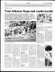 Síða 6