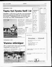 Síða 7