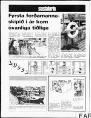 Síða 12