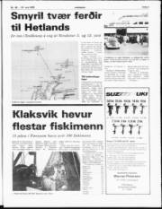 Síða 3