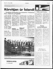 Síða 15