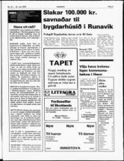 Síða 3