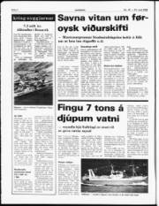 Síða 4