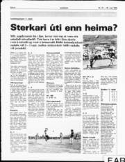 Síða 6