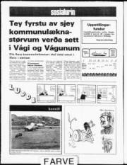 Síða 12