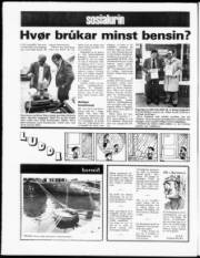 Síða 20