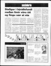 Síða 16