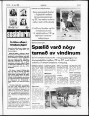 Síða 5