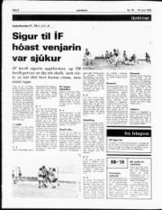 Síða 6