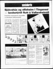 Síða 12