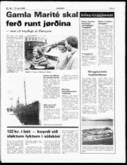 Síða 5