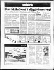 Síða 16