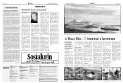 Síða 6