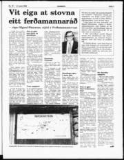 Síða 3