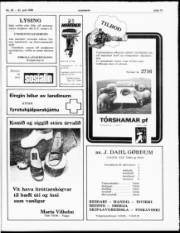 Síða 13