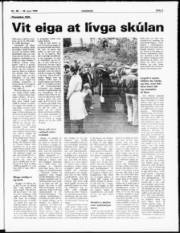 Síða 3