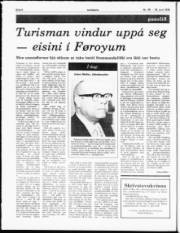 Síða 6