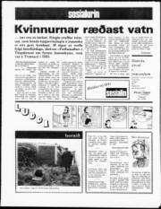 Síða 16
