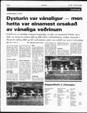 Síða 6